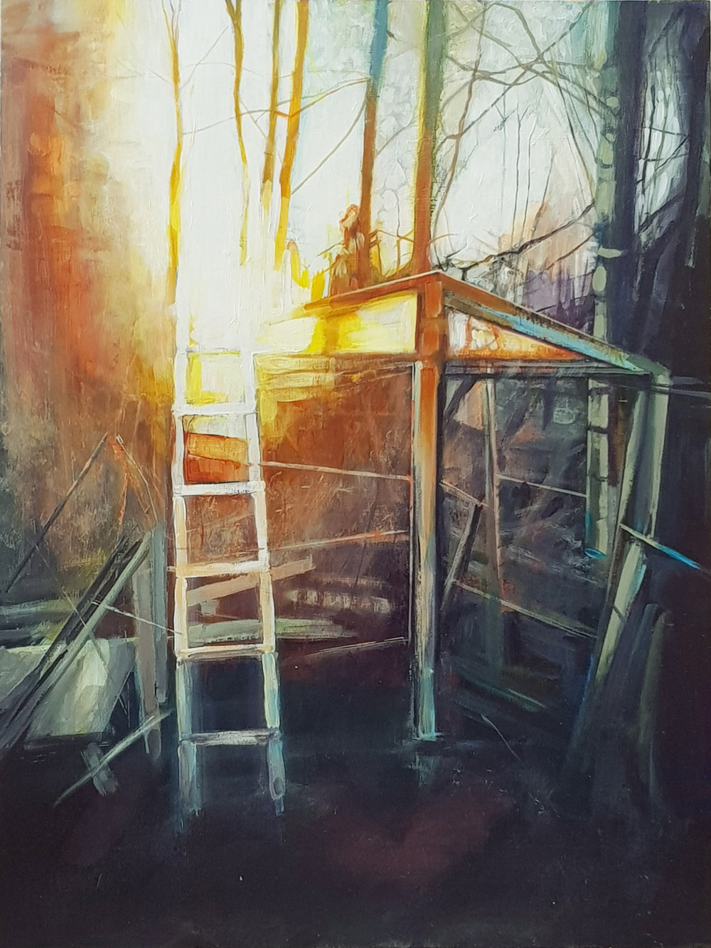 light in the forest