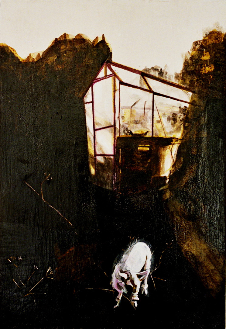 glasshouse pig