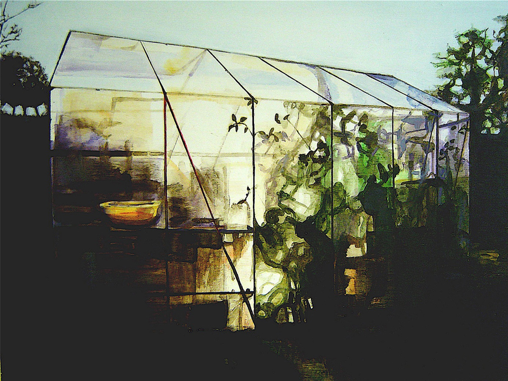 morning glasshouse